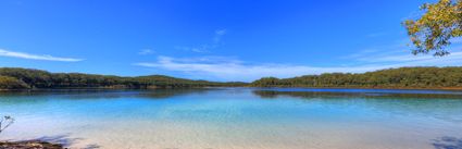Lake McKenzie - Fraser Island - QLD (PB5D 00 051A1684)